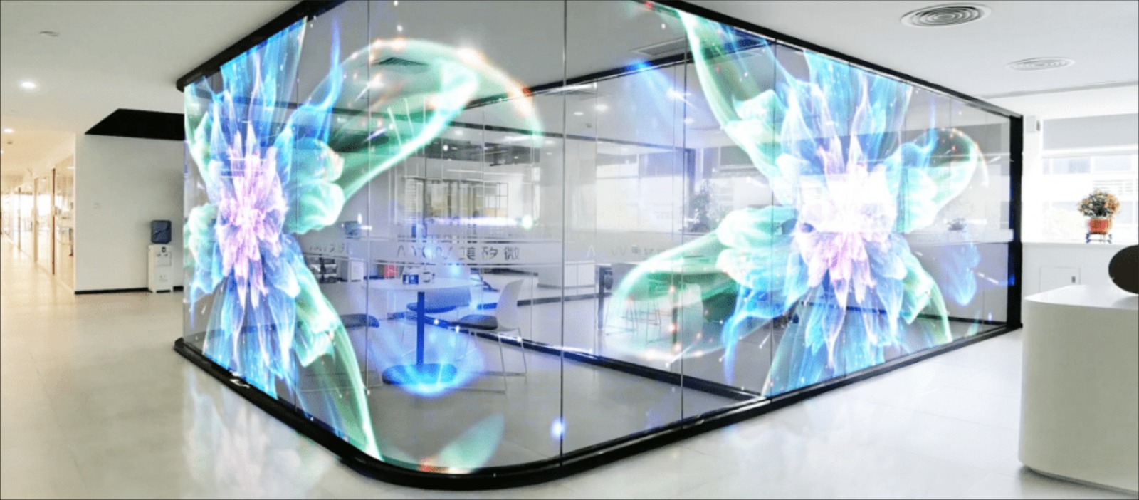 TRANSPARENT LED MODULES